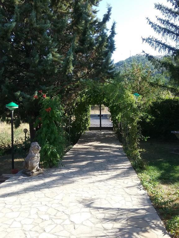 B&B Villa Damiani 布林迪西蒙塔尼亚 外观 照片