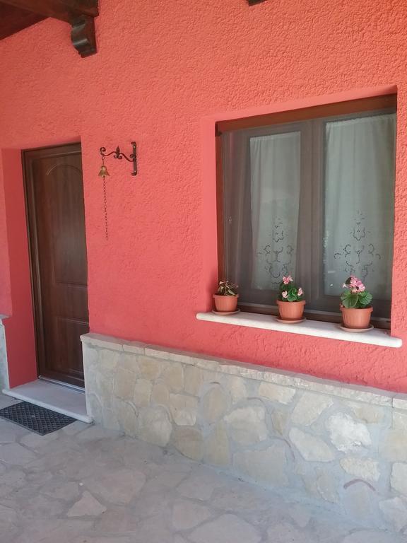 B&B Villa Damiani 布林迪西蒙塔尼亚 外观 照片
