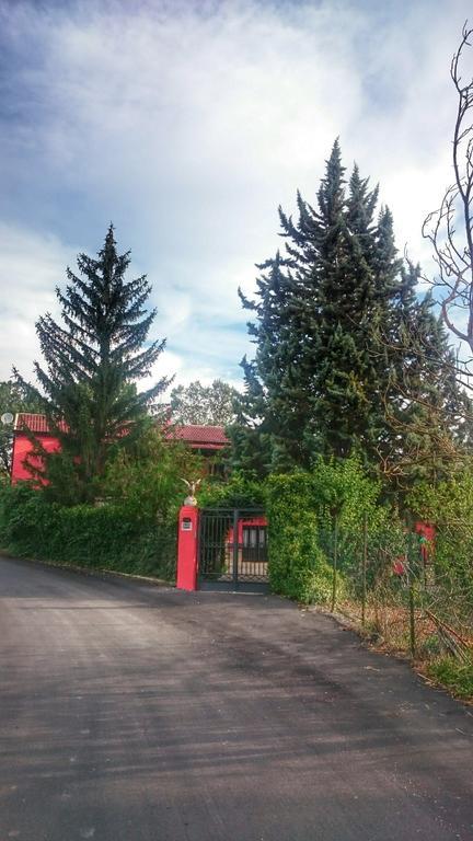 B&B Villa Damiani 布林迪西蒙塔尼亚 外观 照片